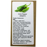  Degrees East Heirloom Veg Seeds - Chilli - Jalapeño